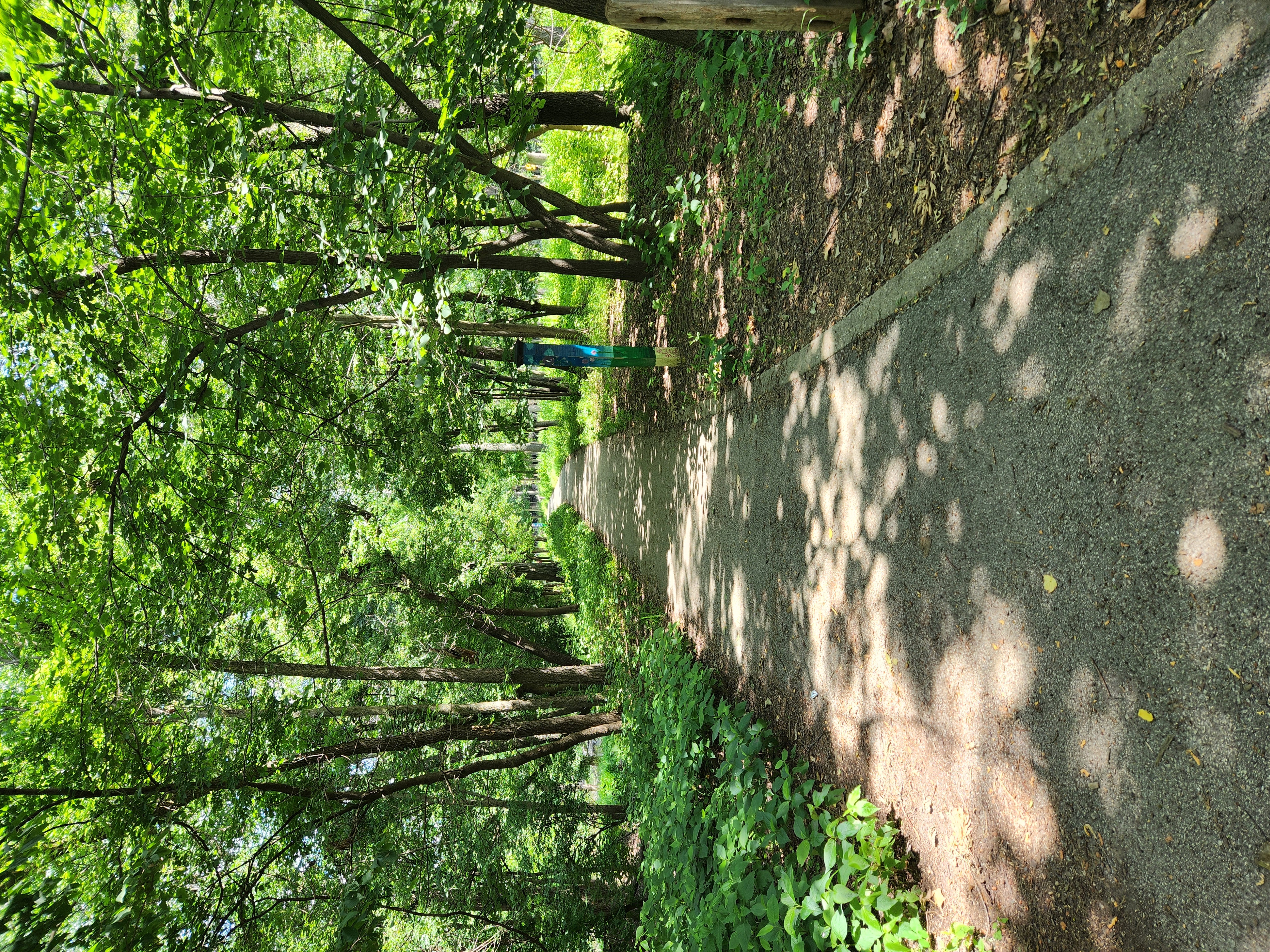 Trail%206-2